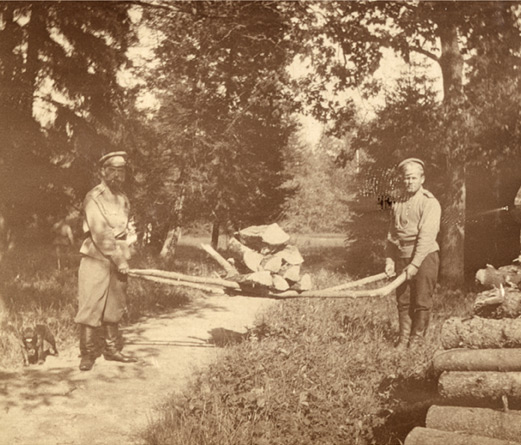 Ил. 11. Николай II на работах по заготовке дров в Александровском парке Май-июль 1917